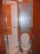 Spolubydleni bytu 4 lůžka a více 110 m2