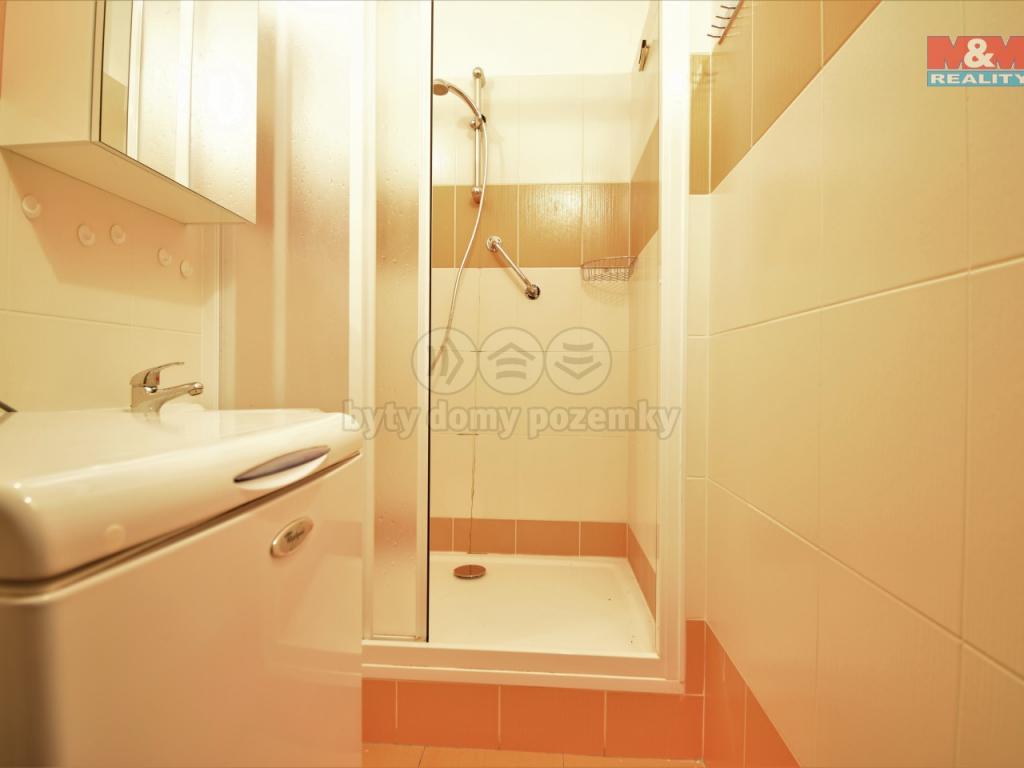 Pronajem bytu 1+kk 42 m2
