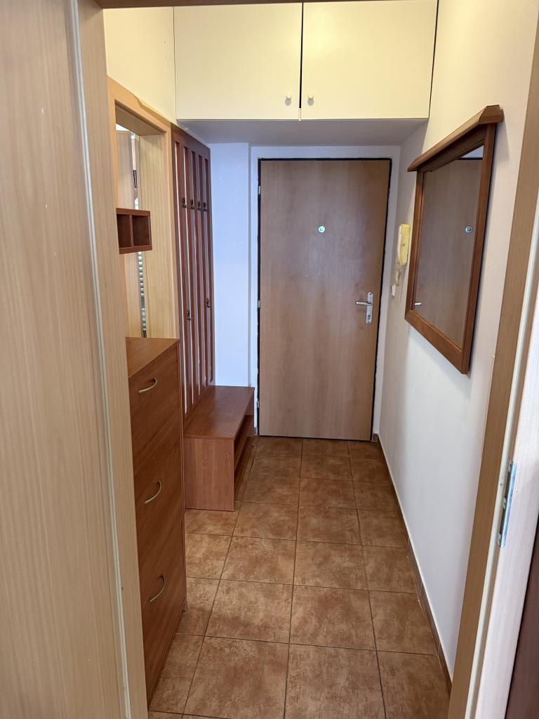 Pronájem bytu 1+kk 35 m2