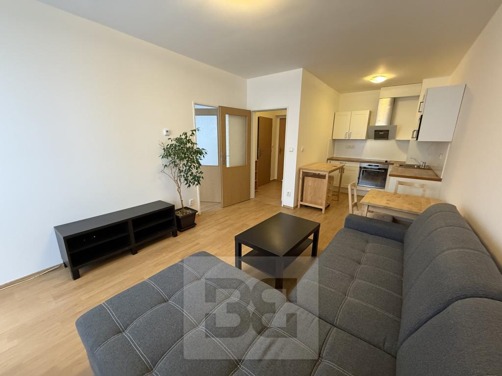 Pronájem bytu 2+kk 39 m² - Widok 4