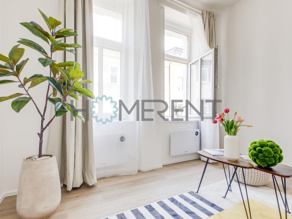 Pronájem bytu 1+kk 19 m2