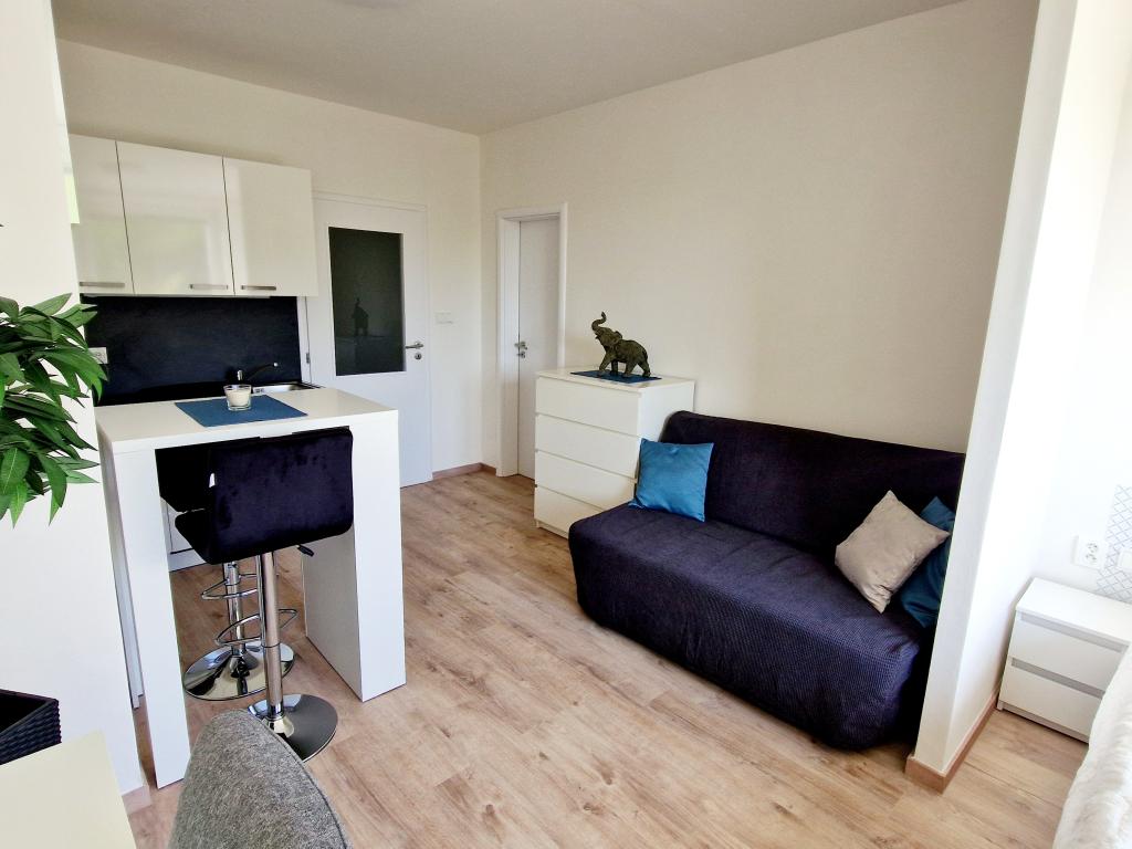 Pronájem bytu 1+kk 30 m2