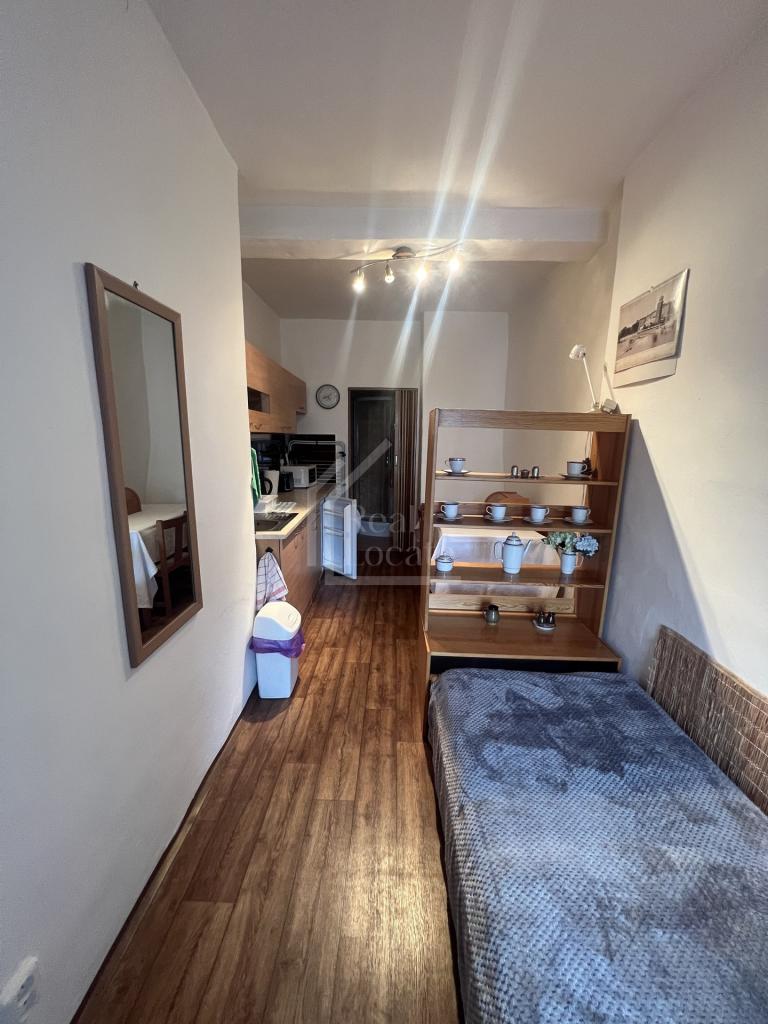 Pronájem bytu 3+kk 36 m2