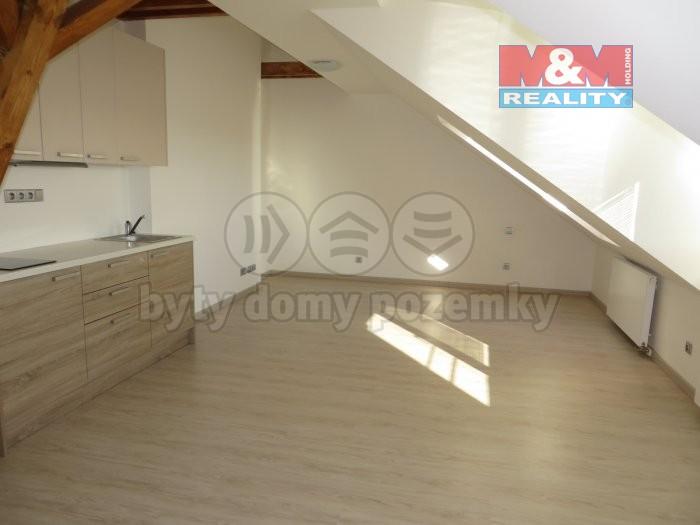 Pronajem bytu 1+kk 48 m2