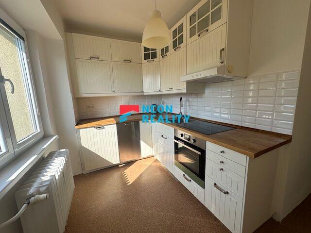 Pronájem bytu 2+1 55 m2