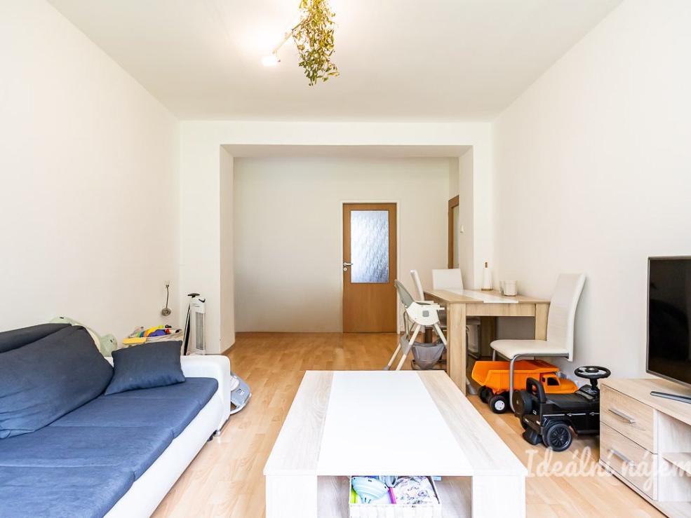 Pronájem bytu 2+1 55 m2
