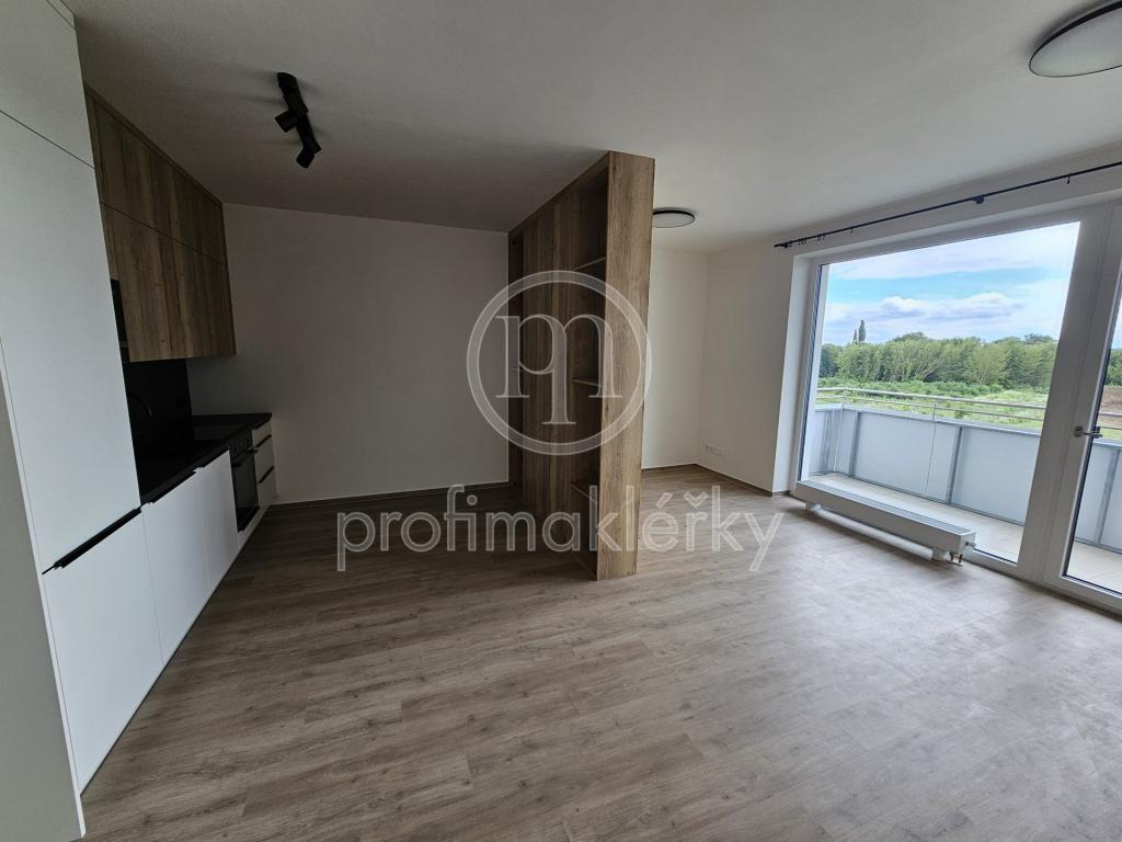 Pronájem bytu 1+kk 37 m2