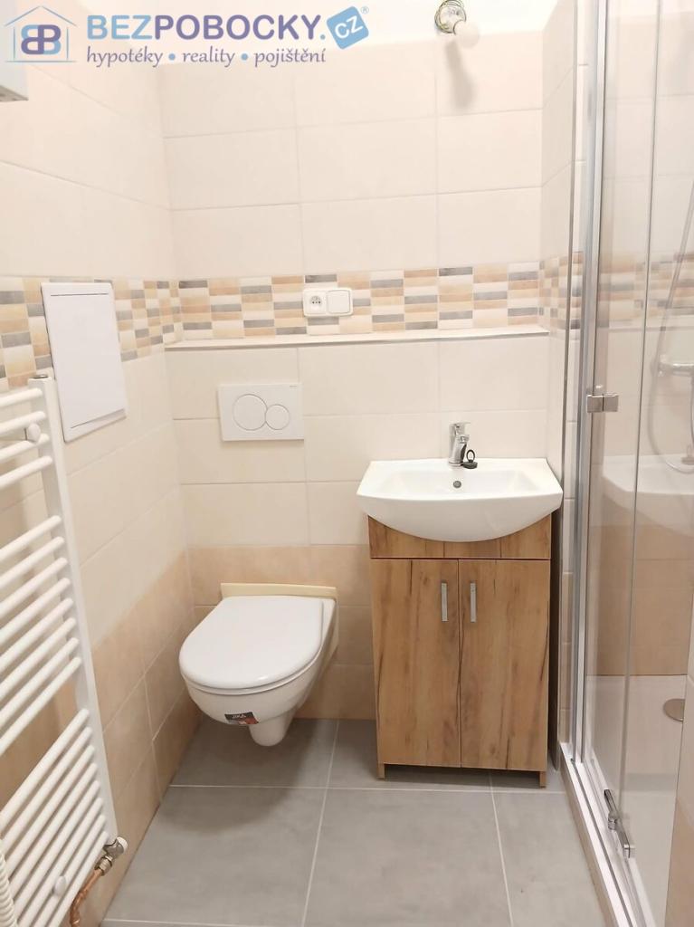 Pronájem bytu 1+1 40 m2