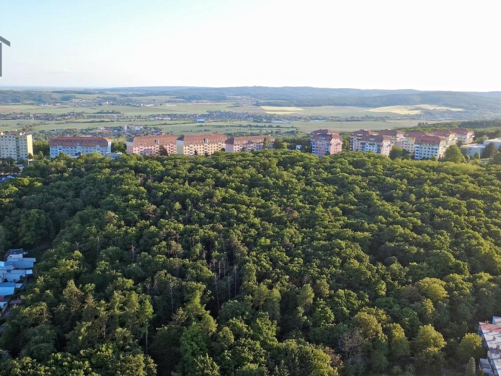 Prodej domu 175 m2, Brno – náhled fotky 26