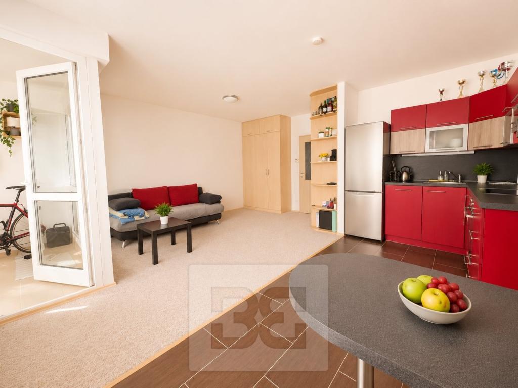 Pronájem bytu 1+kk 40 m2