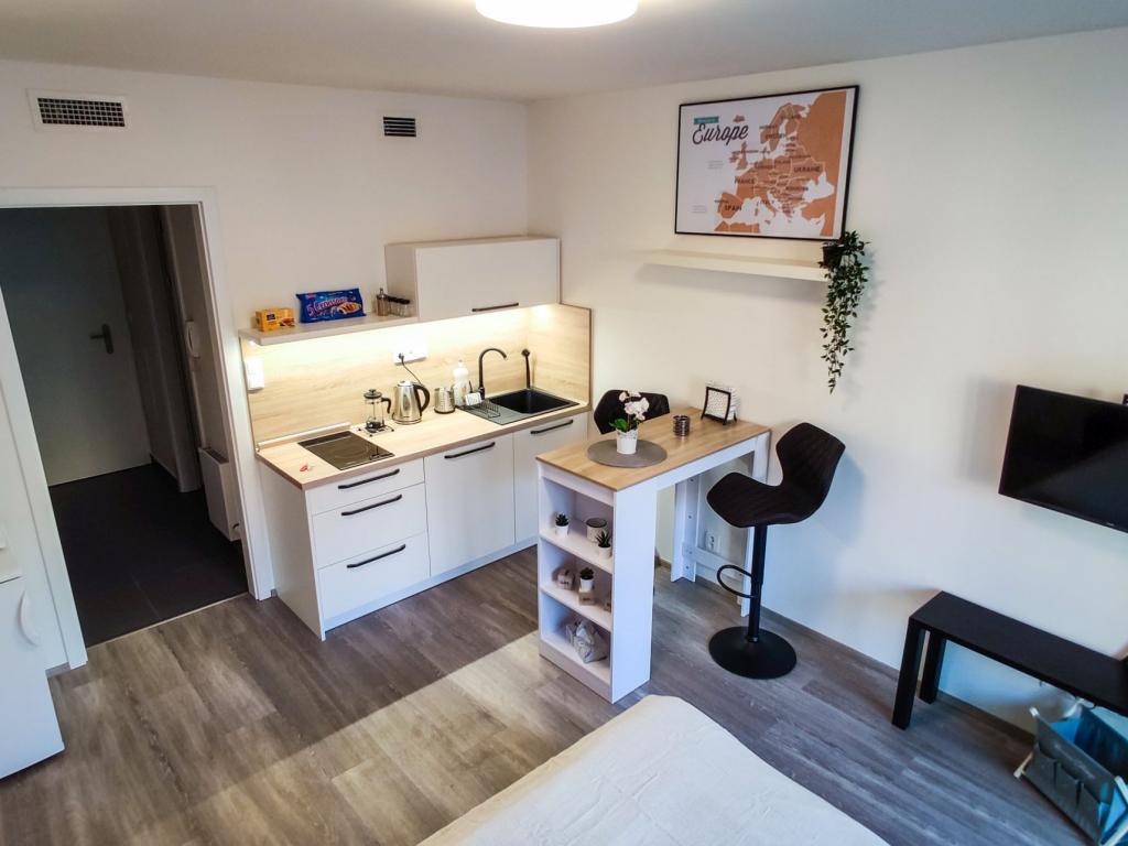 Pronajem bytu 1+kk 30 m2