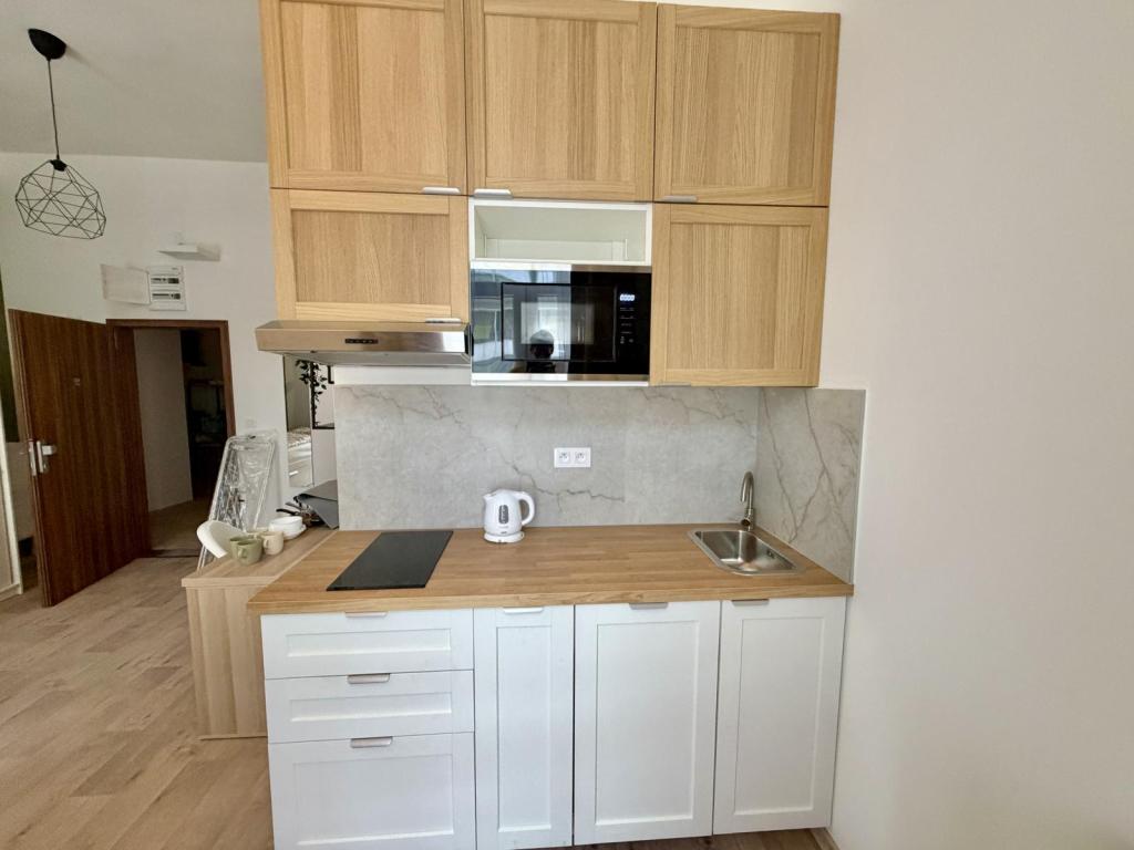 Pronájem bytu 1+kk 35 m2