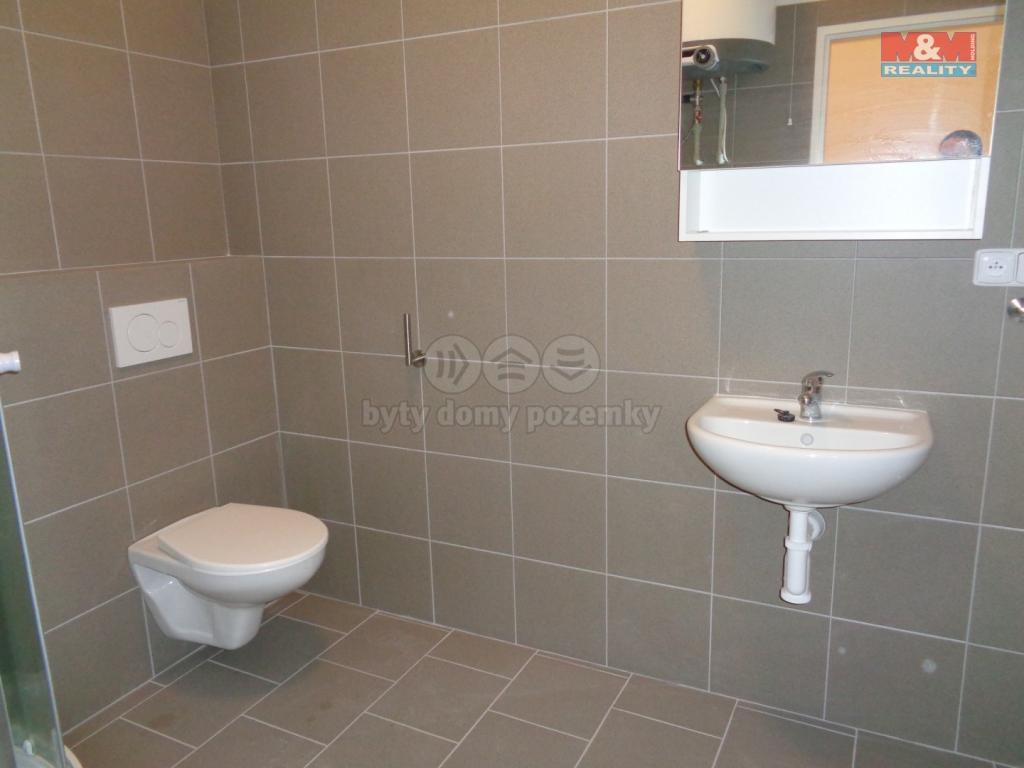 Pronajem bytu 1+1 45 m2