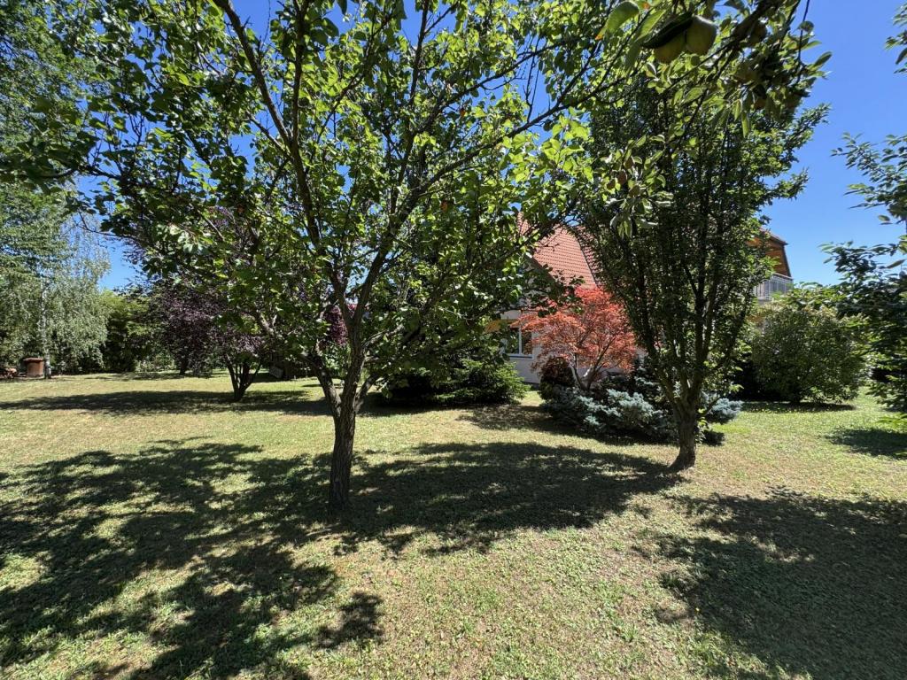 Prodej domu 301 m2, Praha – náhled fotky 12