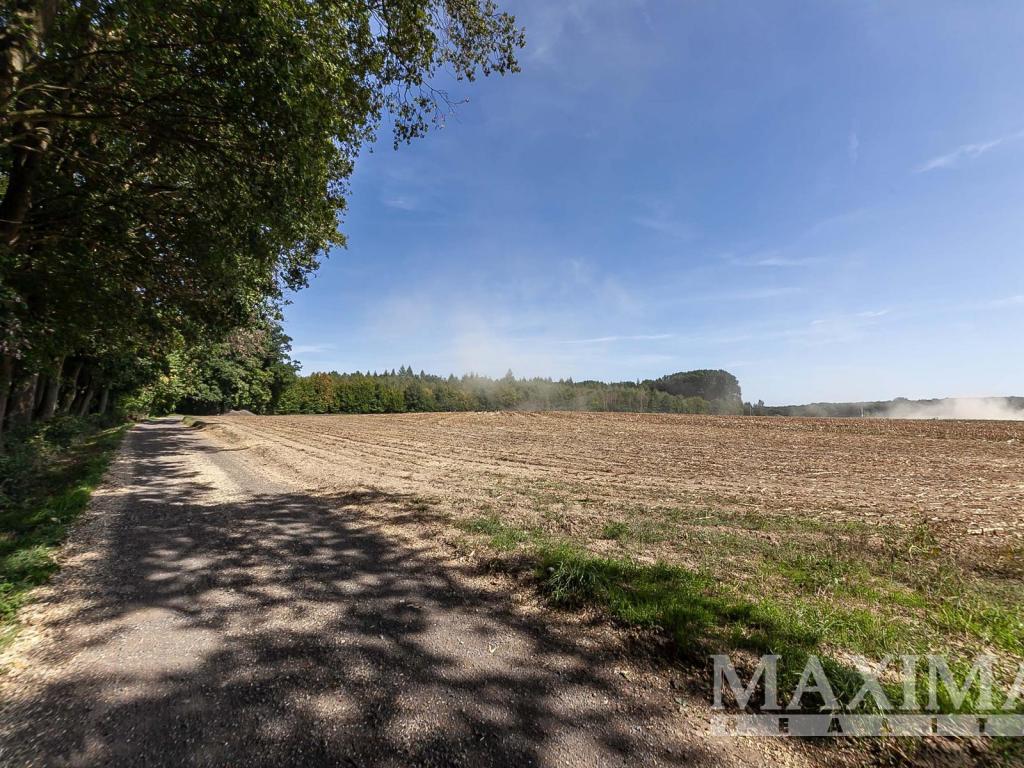 Prodej pozemku 3636 m2, Lhotky – náhled fotky 13
