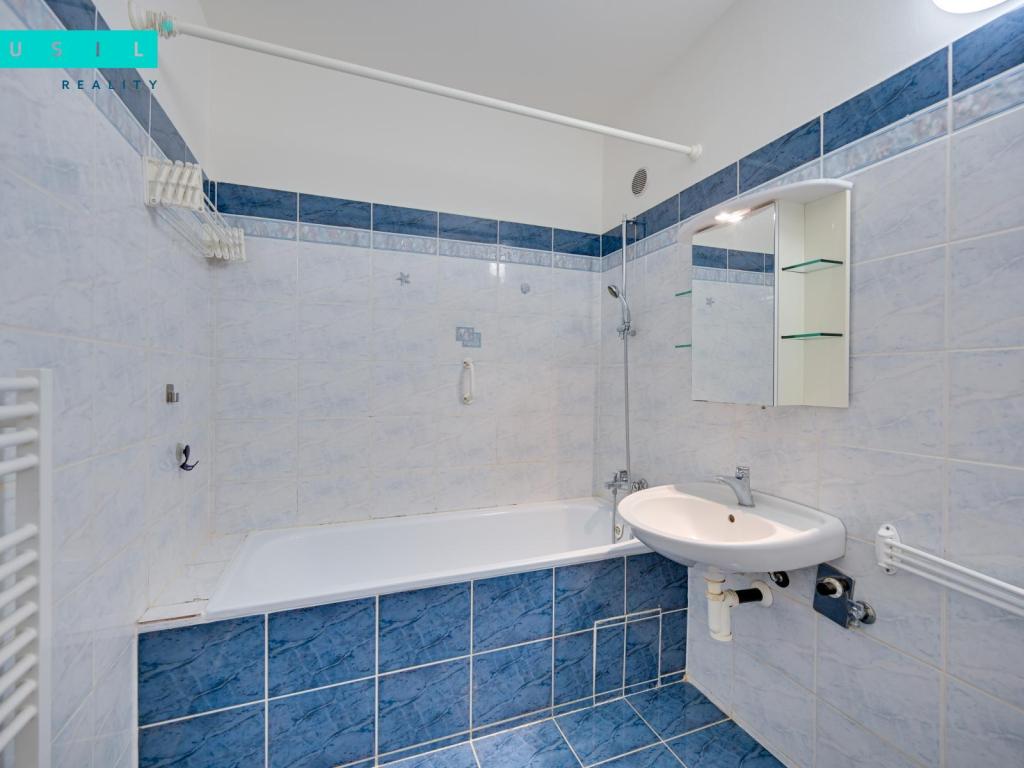 Pronájem bytu 1+1 50 m² – další