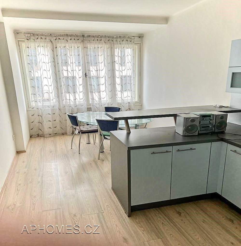 Pronájem bytu 1+1 46 m2, Praha – náhled fotky 3