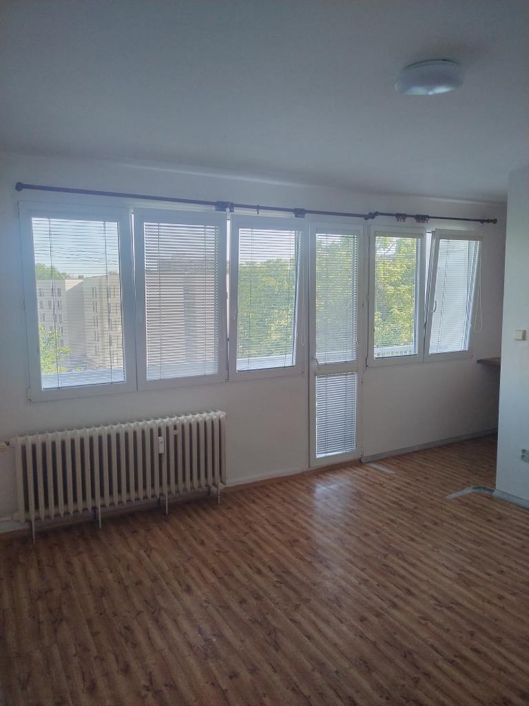Pronájem bytu 1+kk 38 m2
