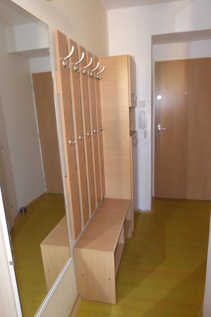Pronajem bytu 2+1 48 m2