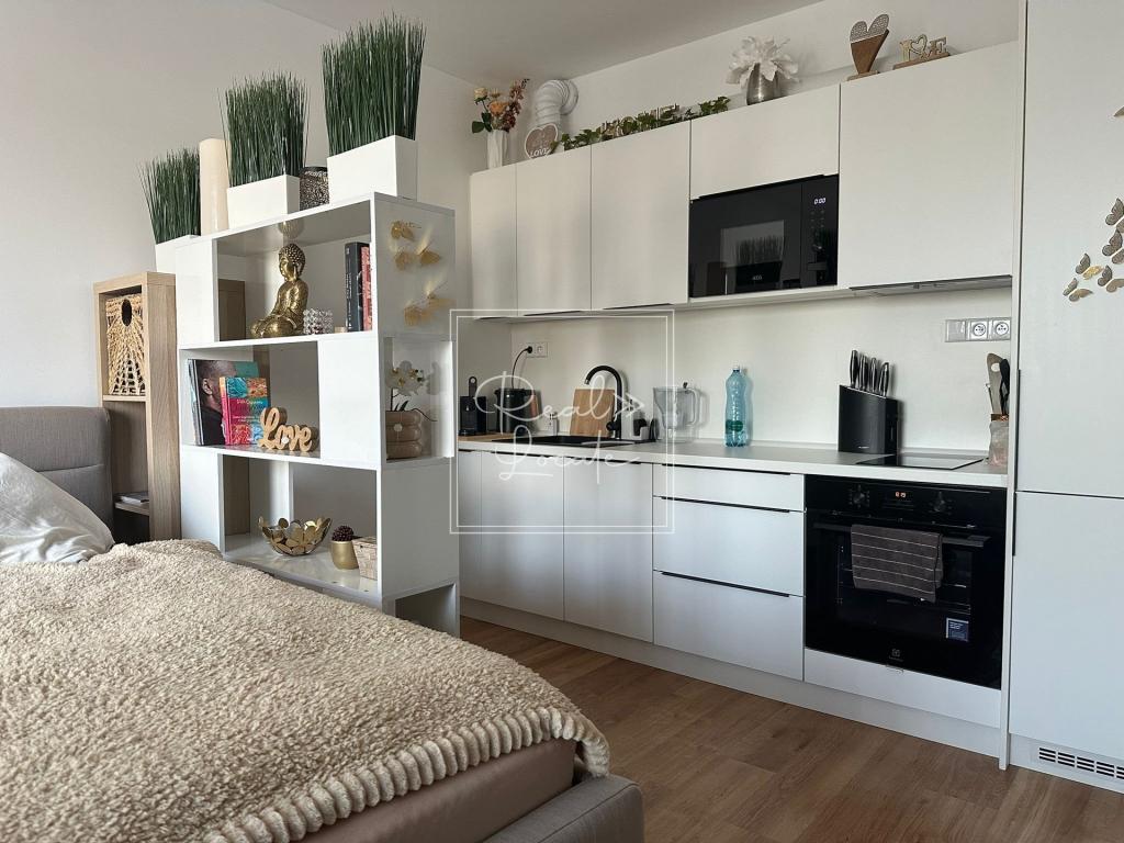 Pronájem bytu 1+kk 34 m2