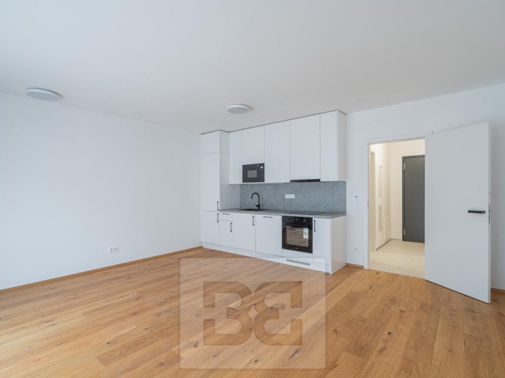 Pronájem bytu 1+kk 43 m2