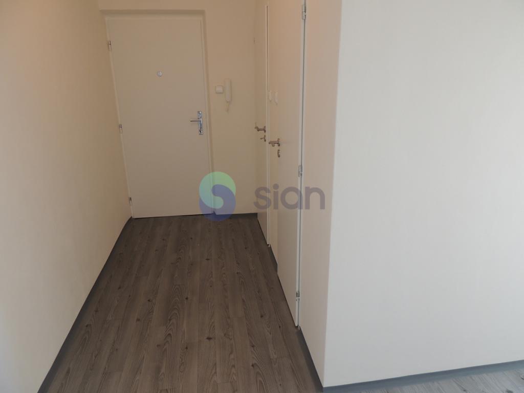 Pronájem bytu 1+1 37 m2
