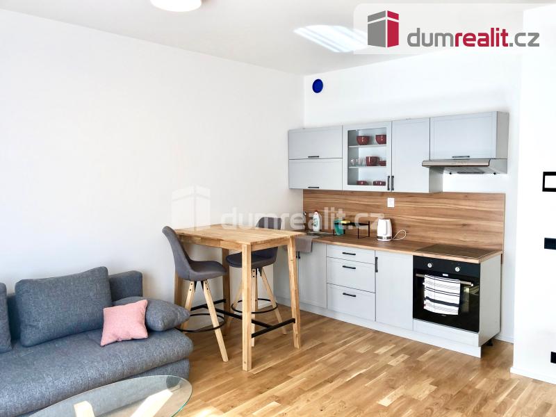 Pronájem bytu 1+kk 31 m² – pohled 4
