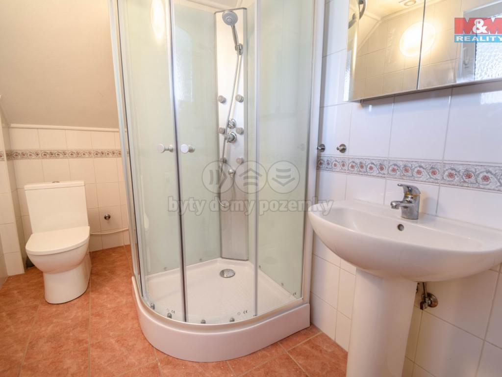 Pronajem bytu dům 603 m2