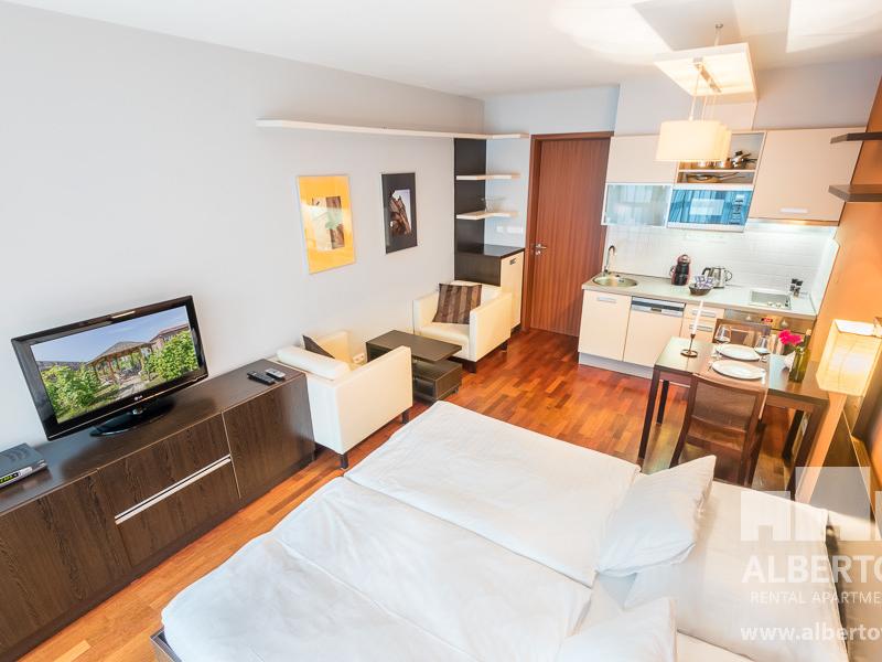 Pronajem bytu 1+kk 40 m2