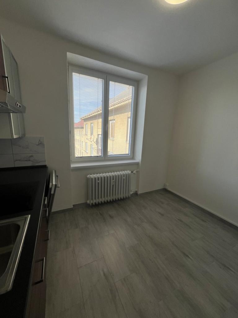 Pronájem bytu 2+1 55 m2
