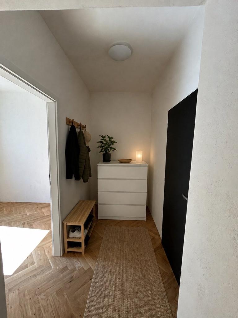 Pronájem bytu 3+kk 45 m2
