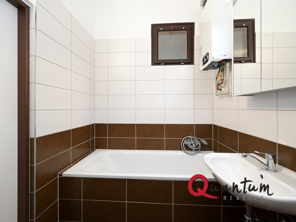 Byt 1+1 – Praha, Braník – další