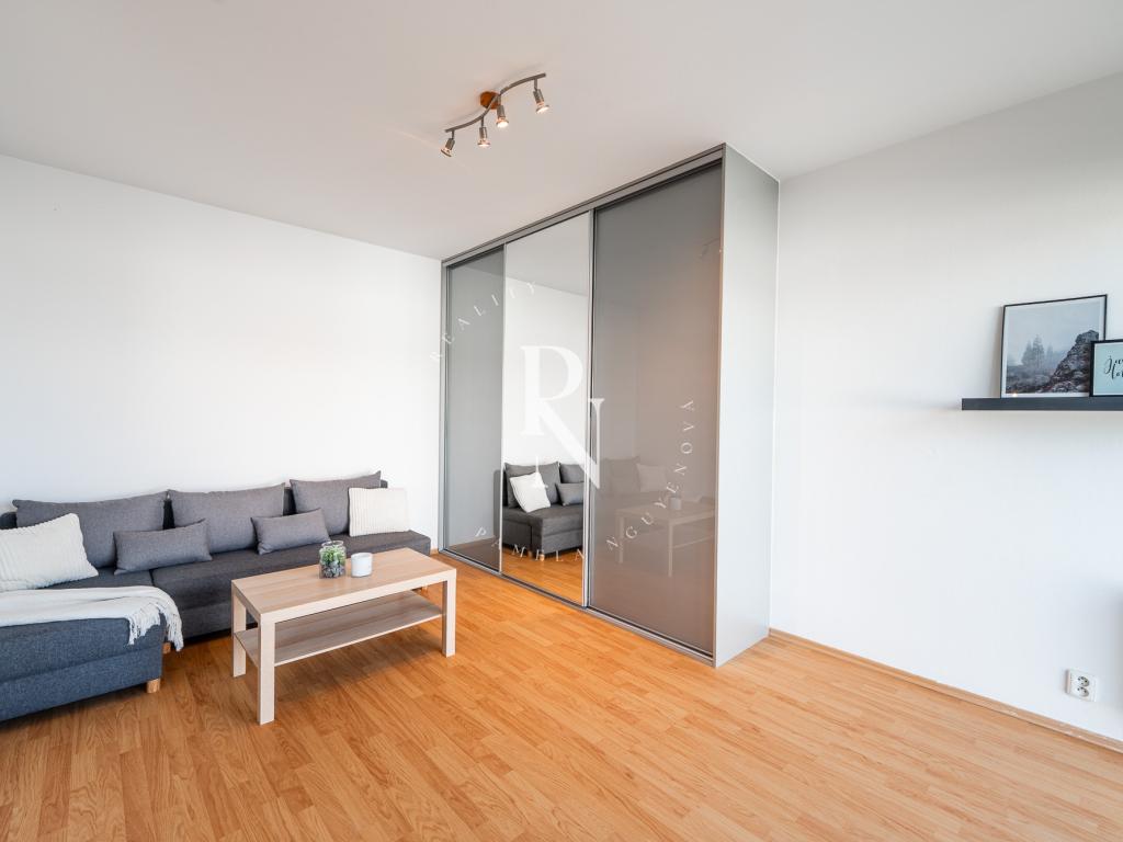 Pronájem bytu 1+kk 34 m2
