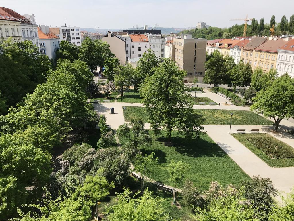 Spolubydleni bytu celý pokoj 30 m2