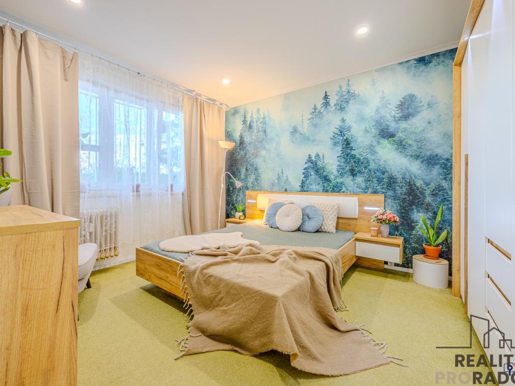 Pronájem bytu 2+1 53 m2