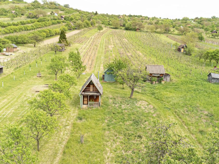 Prodej pozemku 5457 m2, Strážnice – náhled fotky 9