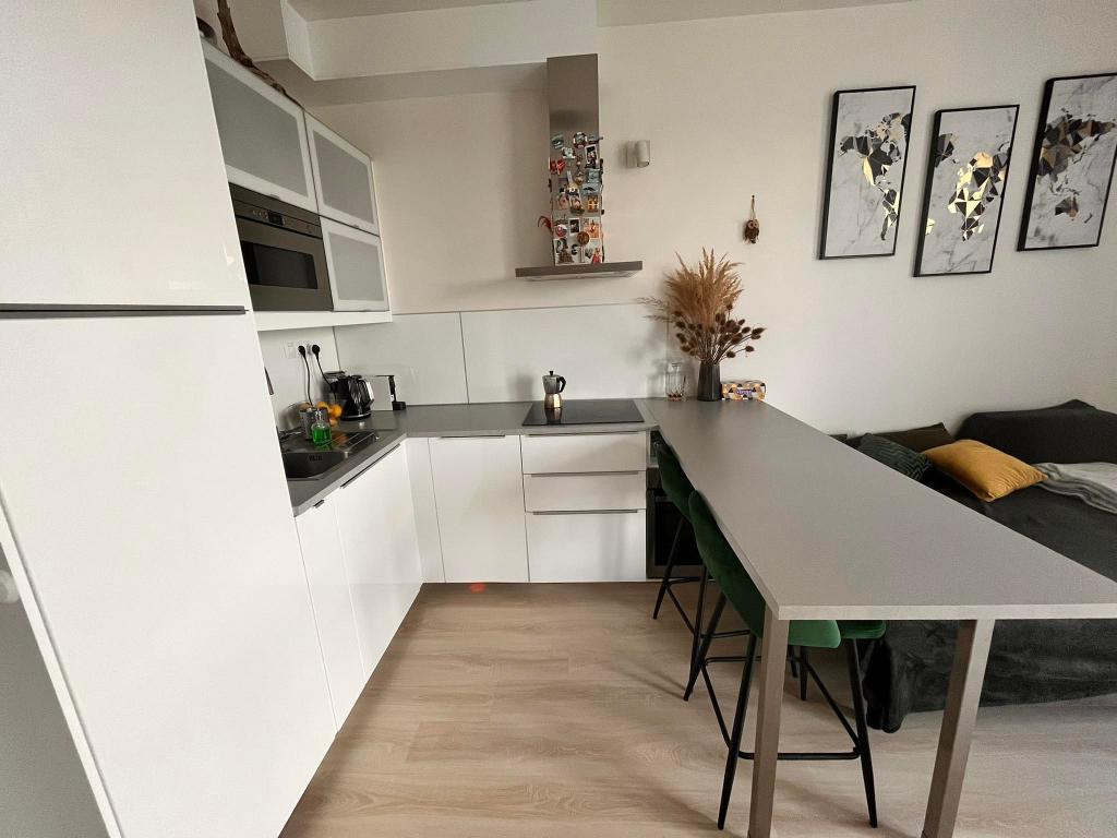 Pronájem bytu 1+kk 36 m2