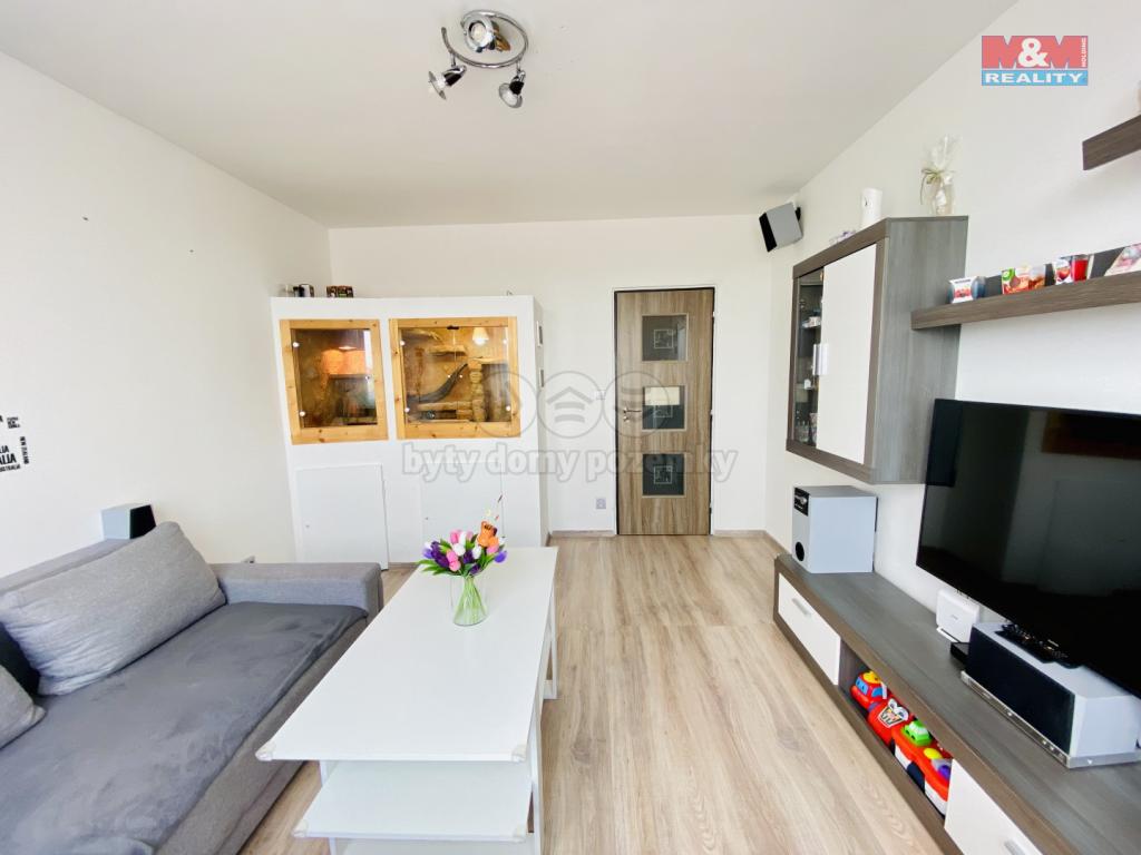 Pronajem bytu 2+1 60 m2