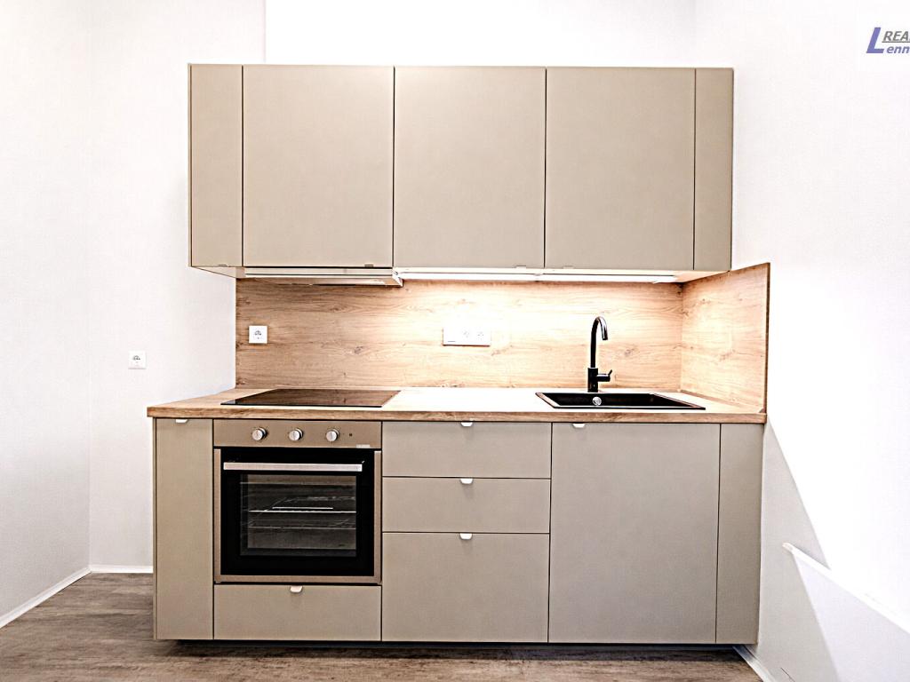 Pronájem bytu 1+1 30 m2