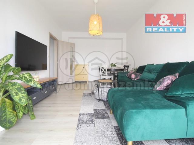 Pronajem bytu 2+1 60 m2