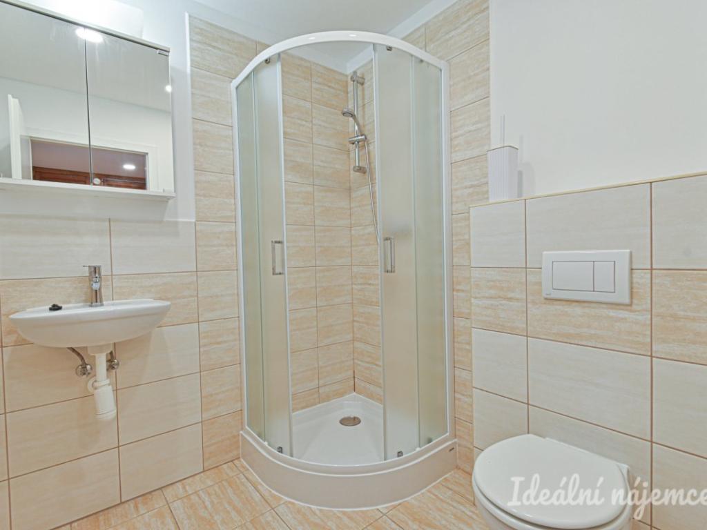 Pronájem bytu 1+kk 25 m2, Brno – náhled fotky 2