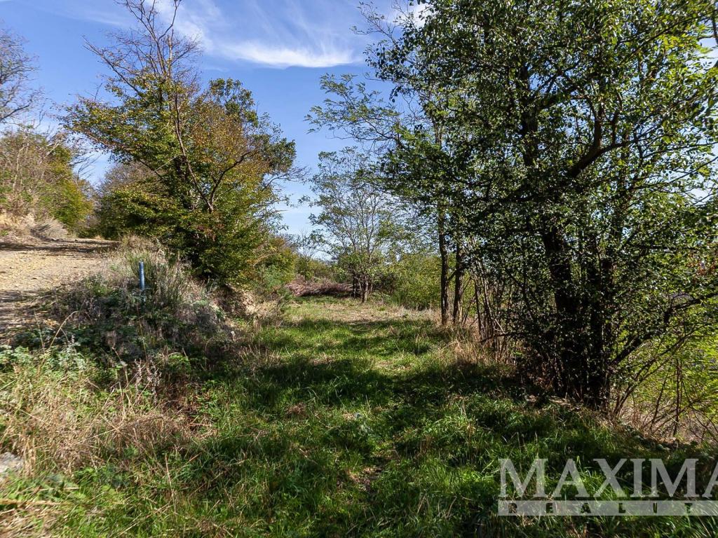 Prodej pozemku 7462 m2, Solenice – náhled fotky 10