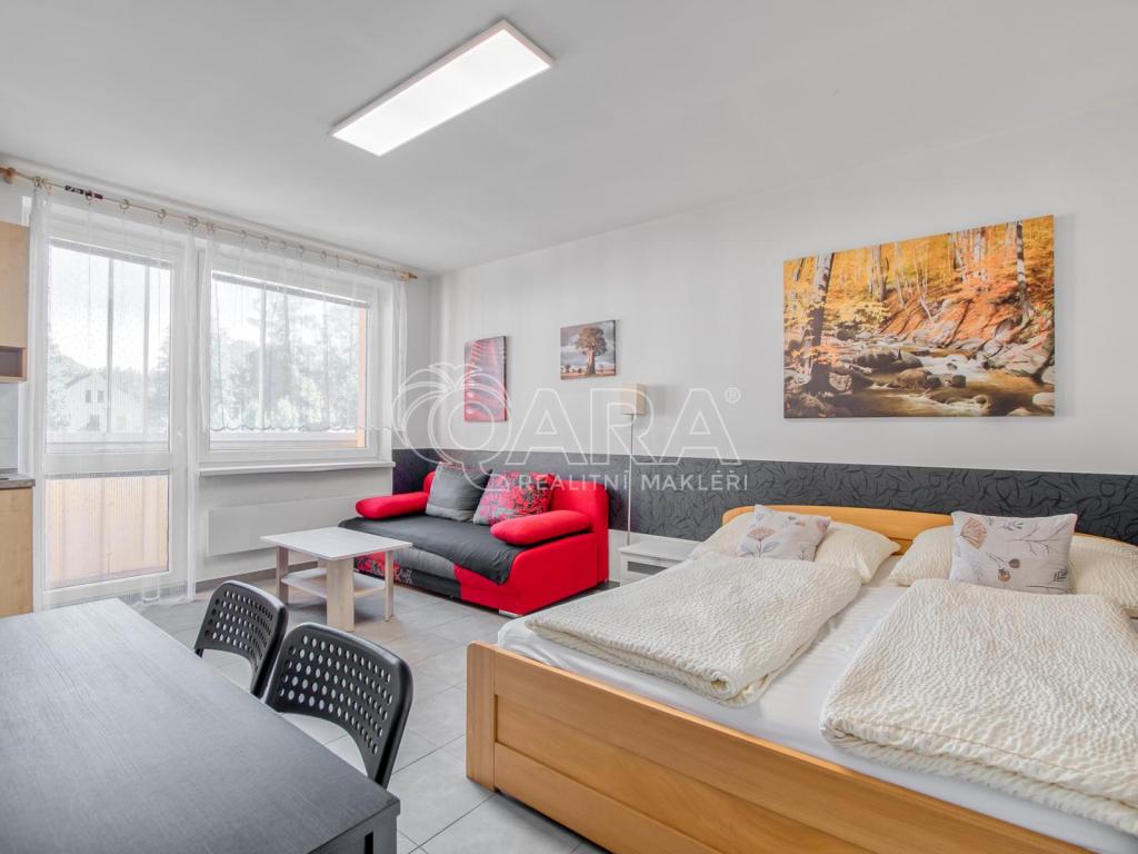 Pronájem bytu 1+kk 32 m2, Trojanovice – náhled fotky 6