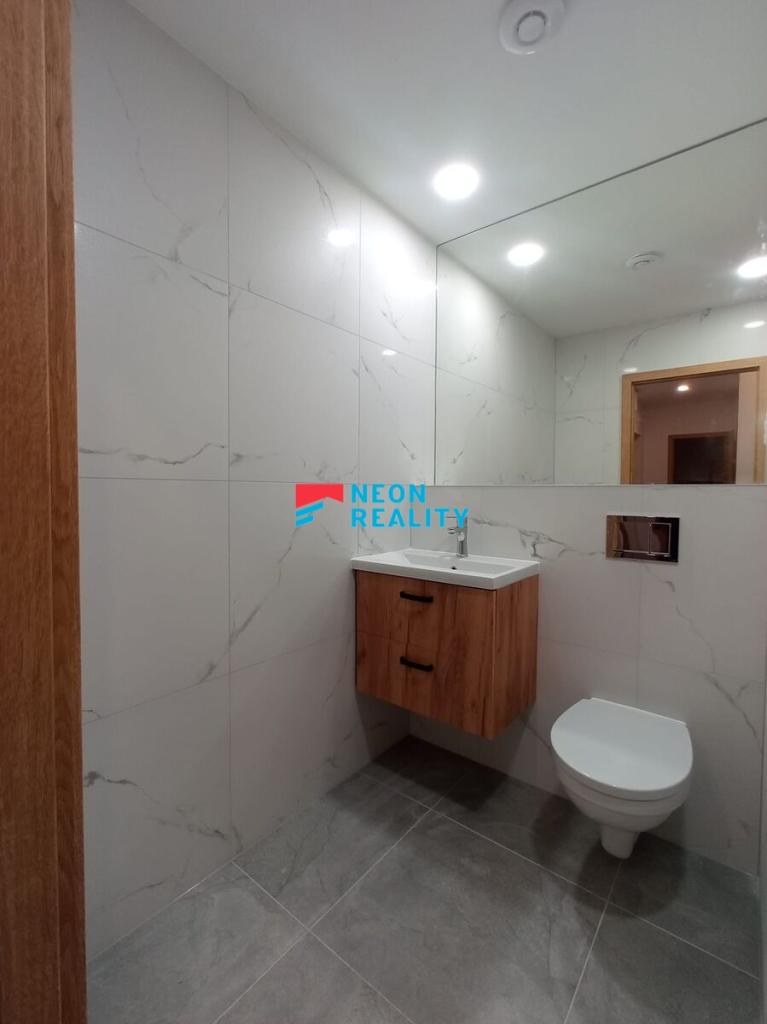 Pronájem bytu 1+1 42 m2
