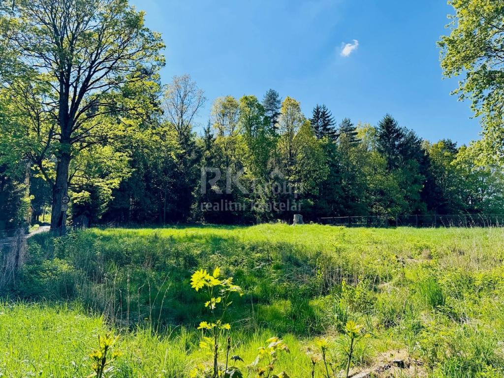 Prodej pozemku 3103 m2, Tři Sekery – náhled fotky 4