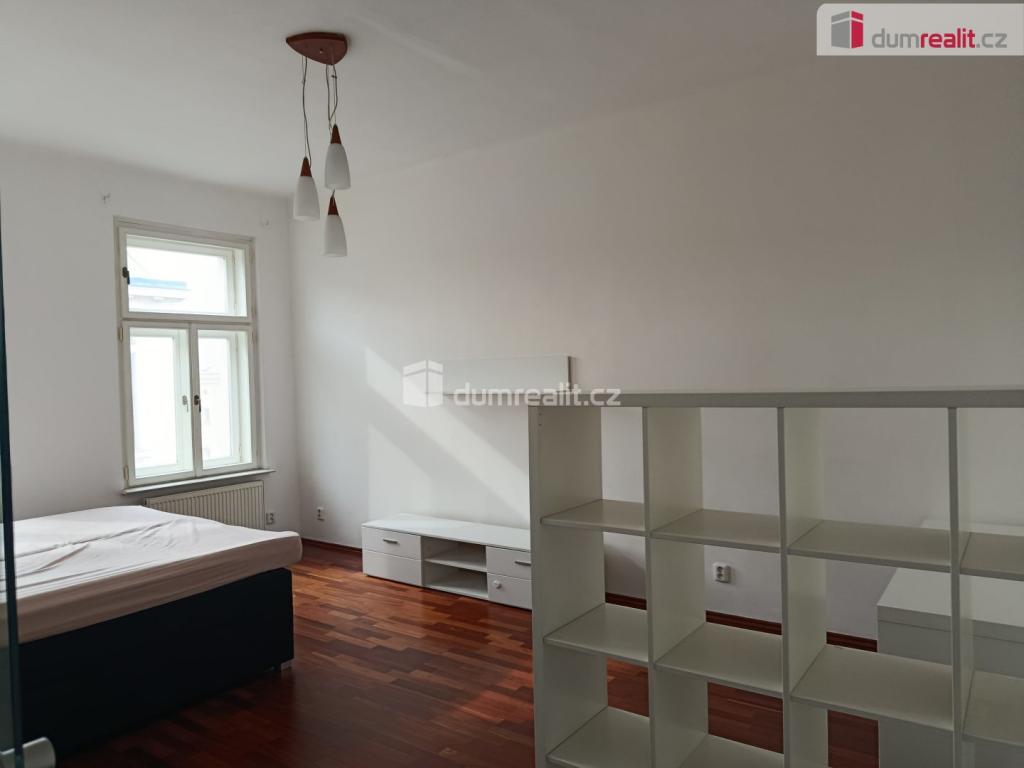 Pronájem bytu 2+1 65 m2, Praha – náhled fotky 19
