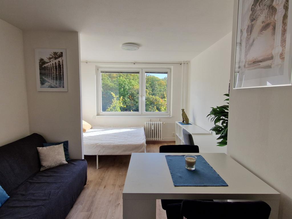 Pronájem bytu 1+kk 30 m2