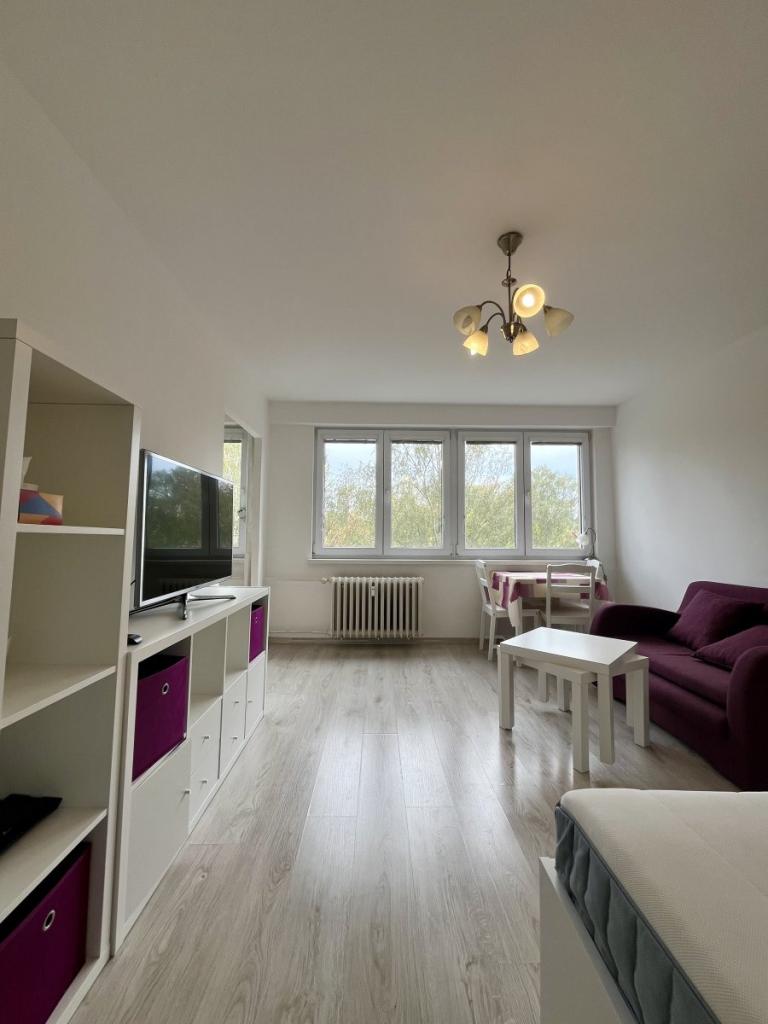 Pronájem bytu 1+1 30 m2