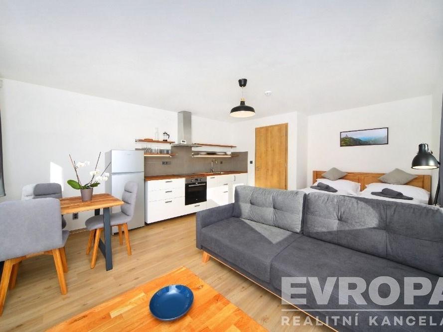 Pronájem bytu 1+kk 30 m2