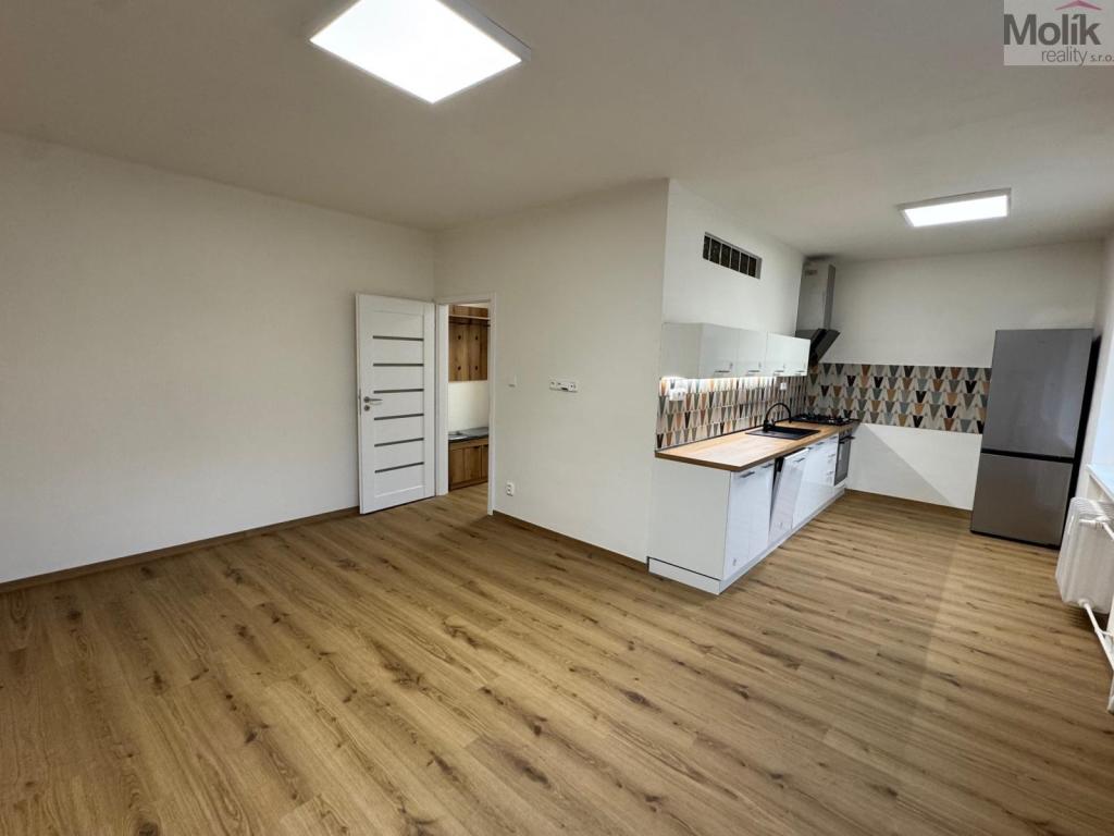 Pronájem bytu 2+1 53 m2